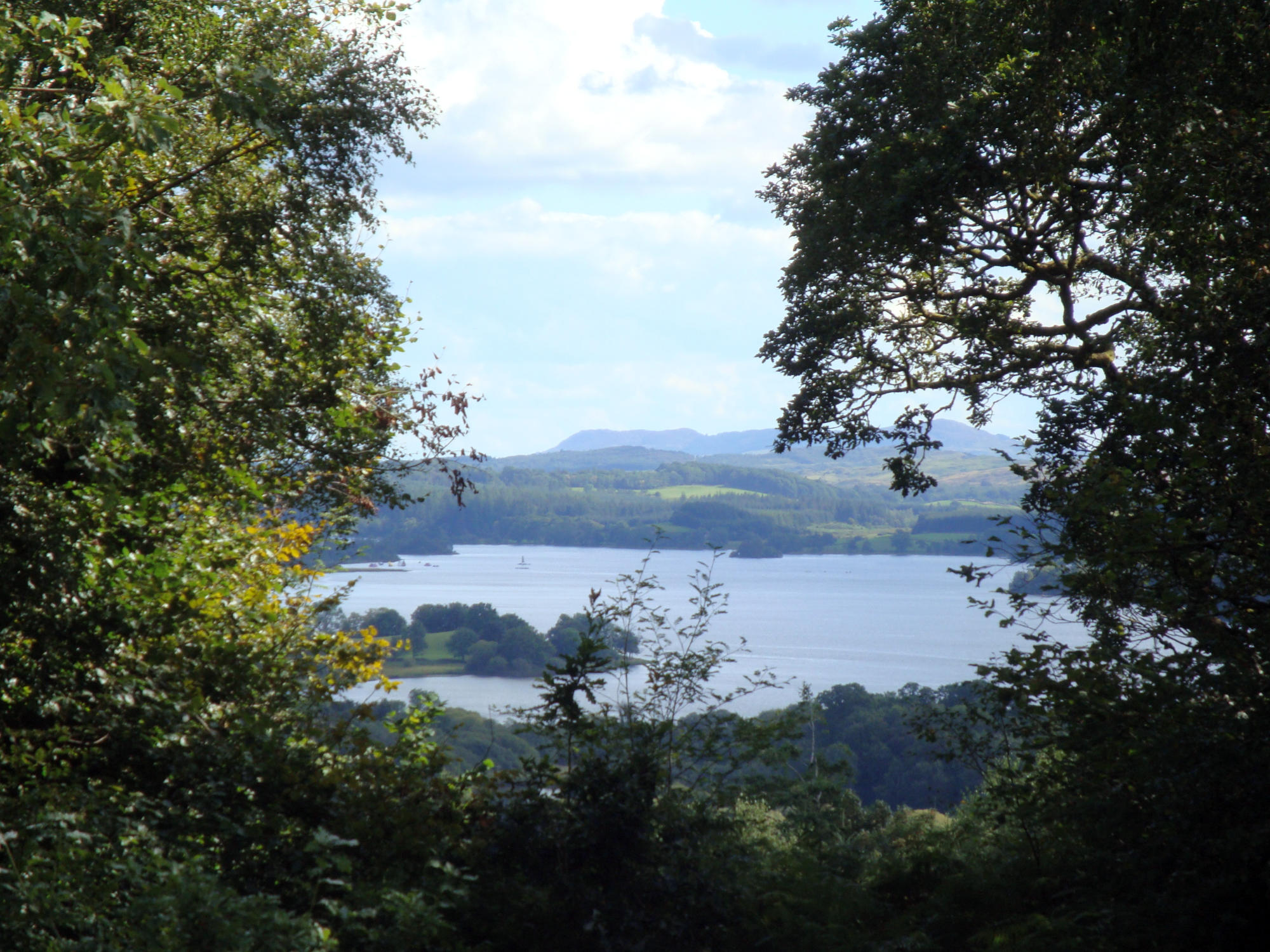 Seniors League 16 2023